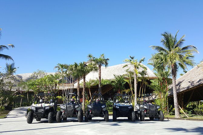 Half Day Jungle Buggies in Bali with Guide - Mason Gourmet Chocolate Factory Showroom Stop