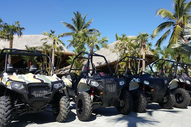 Half Day Jungle Buggies in Bali with Guide - Group Size and Timing: How the Half Day Actually Feels