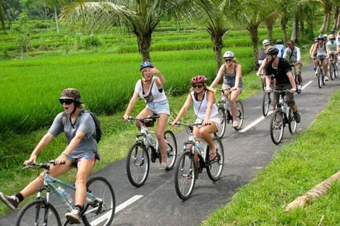 Halo Bike Cycling Tour Downhill - The ride itself: mostly downhill through villages and rice fields