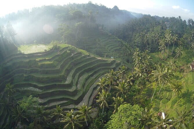 Hidden North Waterfall Bali All inclusive - Stop 4: Munduk Waterfall, misty air, and a coffee-plantation route