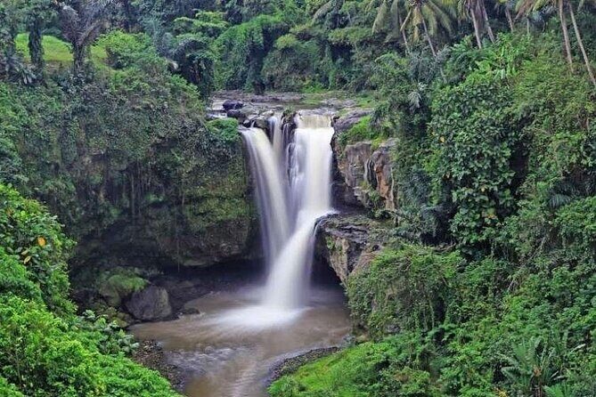 Hidden Ubud: Waterfalls & Sacred Temples - Art Village Stops: Wood Carving, Painting, and Silver Workshops