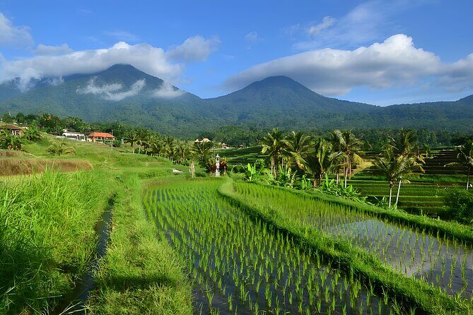Jatiluwih VW Safari Bali Tour - Volkswagen Classic Car Trip - Why a classic VW safari car changes the whole day