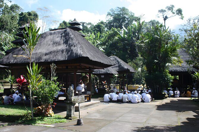 Jatiluwih VW Safari Bali Tour - Volkswagen Classic Car Trip - Lunch near Ulun Danu: what’s included and what to watch