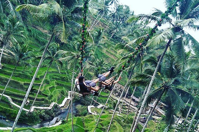 Jungle Swing & White Water Rafting Experience - Small group setup and pickup timing from Kuta to Sanur