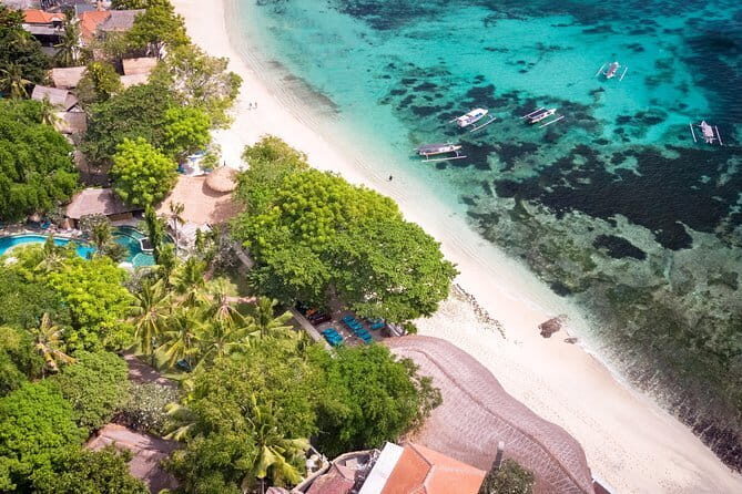 Komodo Island Adventure from Bali (Day Trip) - Speedboat, Flights, and the Door-to-Door Advantage