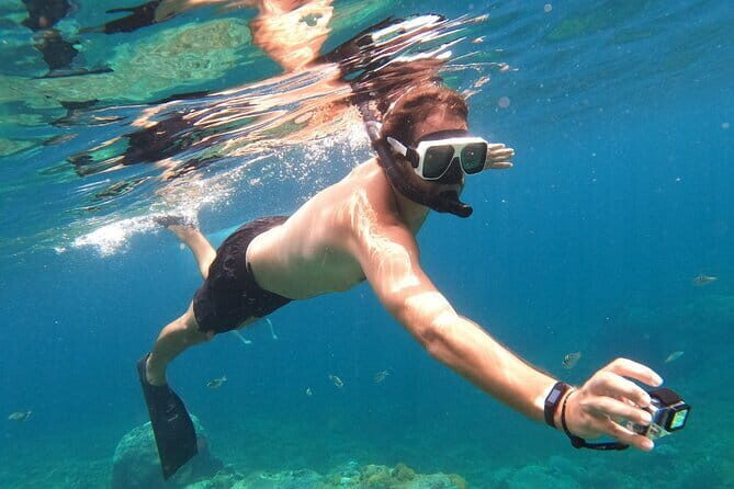 Komodo Island Adventure from Bali (Day Trip) - Price and Value: Is $795 Worth It for a Day Trip?