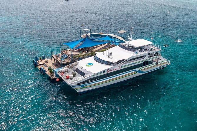 Komodo Island Adventure from Bali (Day Trip) - What’s Included vs. What You’ll Still Need