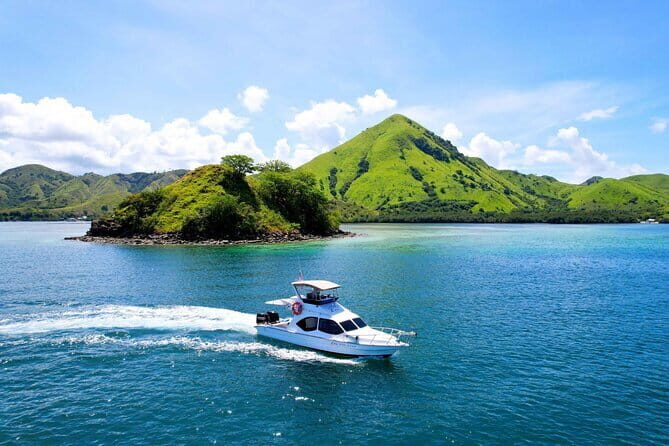 Komodo Island Adventure from Bali (Day Trip) - The Komodo Island Trek: Ranger-Led Dragon Time