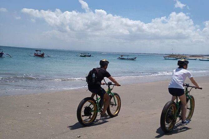 Kuta Beach eBike Private Tour - Turtle conservation at a local sanctuary