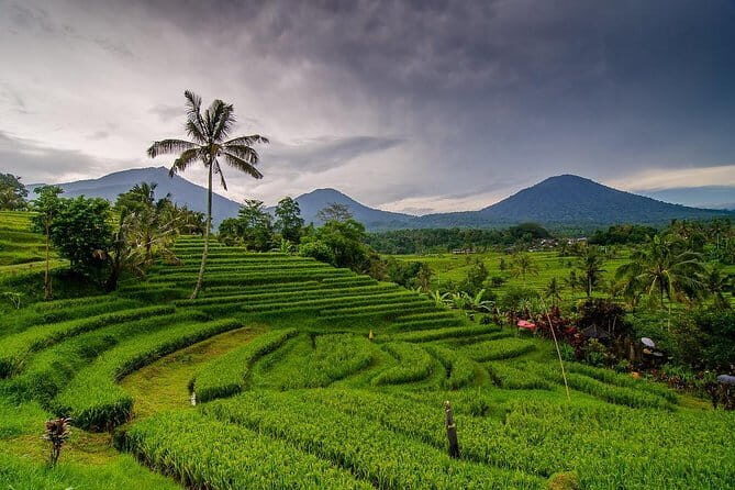 Kuta Half Day Tour - Who This Tour Is Best For