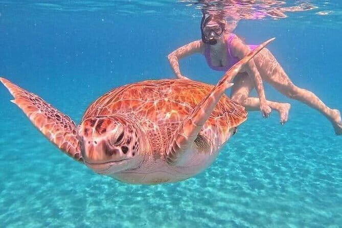Monkey Bar and snorkling adventure at blue lagoon. - Blue Lagoon snorkeling: colorful coral and 100+ fish