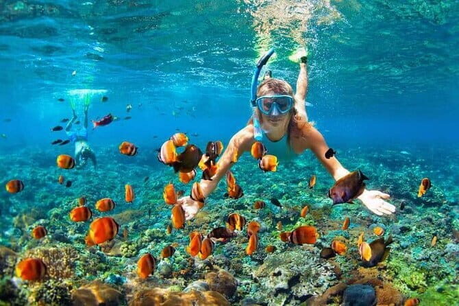 Monkey Bar and snorkling adventure at blue lagoon. - Who should book this Monkey Bar + Blue Lagoon day
