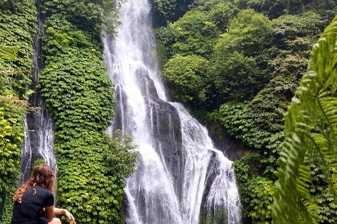 North Bali Hidden Gems Tour Ulun Danu Temple Twin Lakes Waterfall - North Bali in one day: what you’re really getting