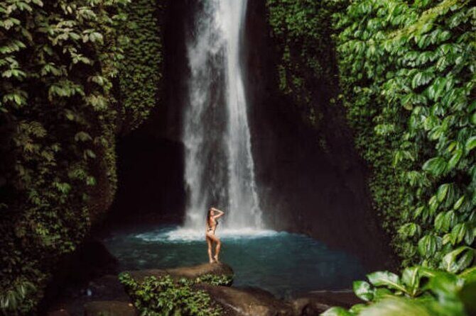 North Bali Nature Escape Rice Terraces, Temples & Waterfall - Taman Ayun Temple: royal serenity with lotus-and-garden calm