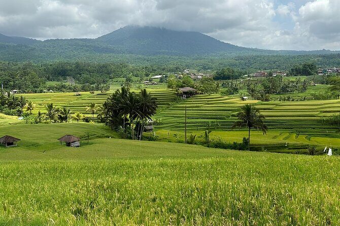 North Bali Nature Escape Rice Terraces, Temples & Waterfall - Banyumala Twin Waterfalls: forest calm and the option to swim