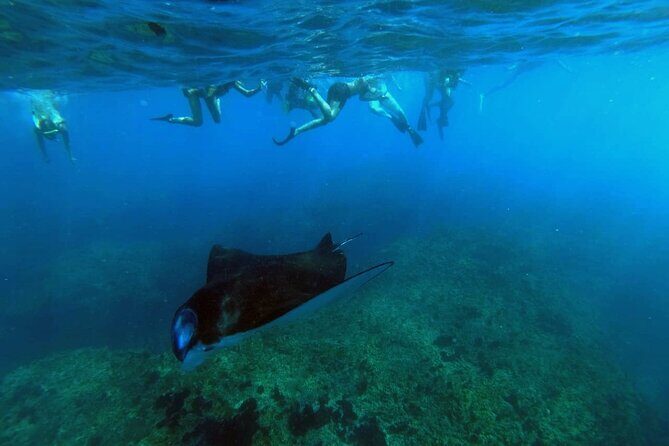 Nusa Penida 4 Spot Snorkeling with Manta and Island Tour - The 11-Hour Rhythm: When Time Feels Like the Real Activity