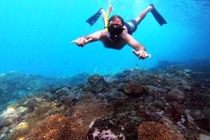 Nusa Penida 4 Spot Snorkeling with Manta and Island Tour - Sanur to Banjar Nyuh: Fast Boats and the First Checkpoints
