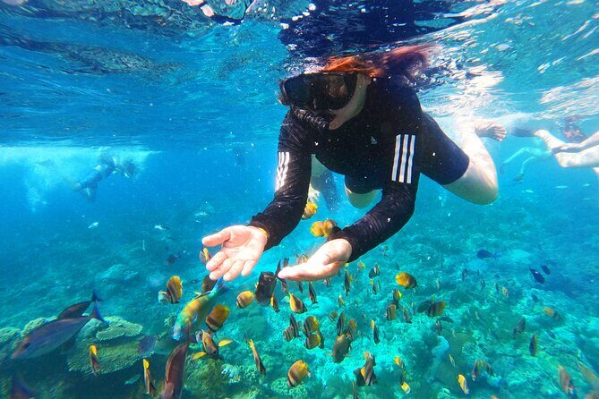 Nusa Penida Island Tour Package With Snorkeling - Price and what you’re really buying for $100
