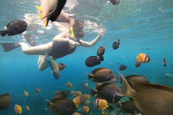 Nusa Penida Land Tour and 4 Points Snorkeling with Manta - Lunch Break That Doesn’t Kill the Day