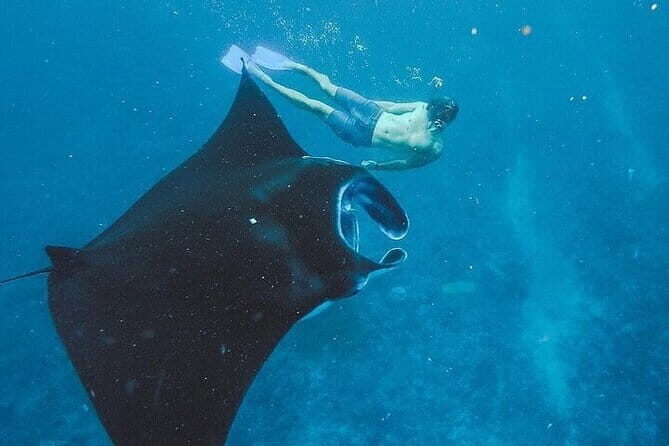 Nusa Penida Tour with Iconic Photography in Kelingking - Price and value: what you’re really paying for at $99