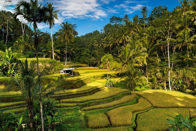 Private 4-Day Tours - Best Bali Tours Package - Best of Bali Highlights - Private 4-Day Bali Route: How This Package Fits Real Travel Days