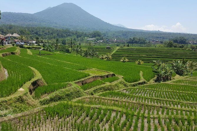 Private 4-Day Tours - Best Bali Tours Package - Best of Bali Highlights - Price and Value: Why $345 Per Person Can Work (and When It Might Not)