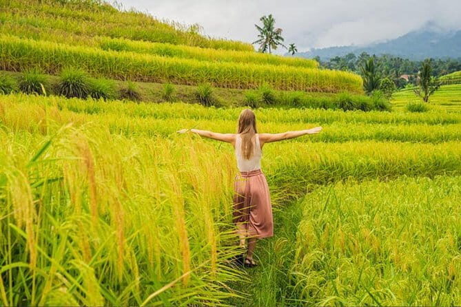 Private Airport Transfers by top trusted Drivers in Bali - Quick highlights (the stuff that matters)