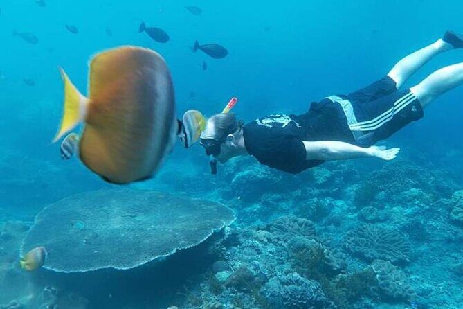 Private All Inclusive Nusa Penida Snorkeling and Tour - Private transport with Bali Nusa Transport: comfort and control