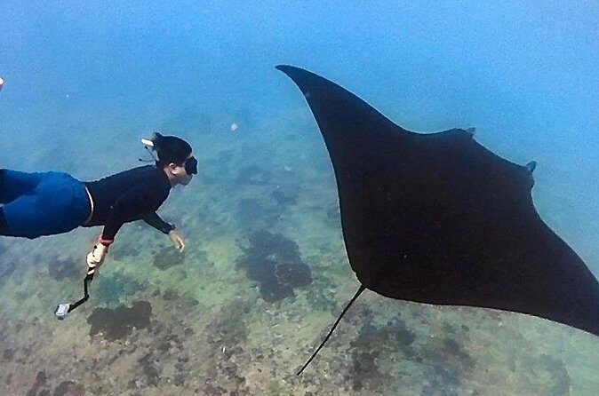 Private All Inclusive Nusa Penida Snorkeling and Tour - Kelingking Beach: the T-Rex cliff view, with a real trek
