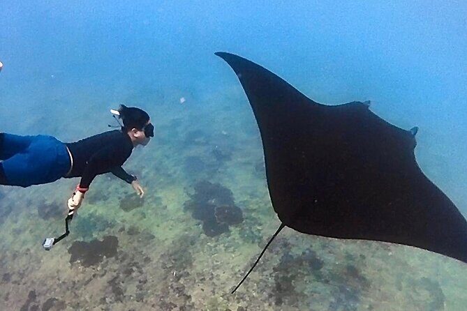 Private All Inclusive Nusa Penida Snorkeling and Tour - Stop 1 at Sanur Harbour: where the day gets organized