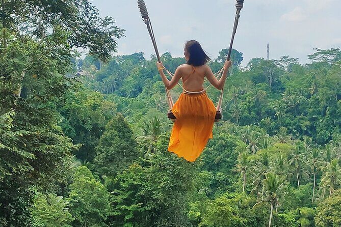 Private Bali Tour with Lisensed Bali Driver - 8–10 hour pacing: managing traffic and meals