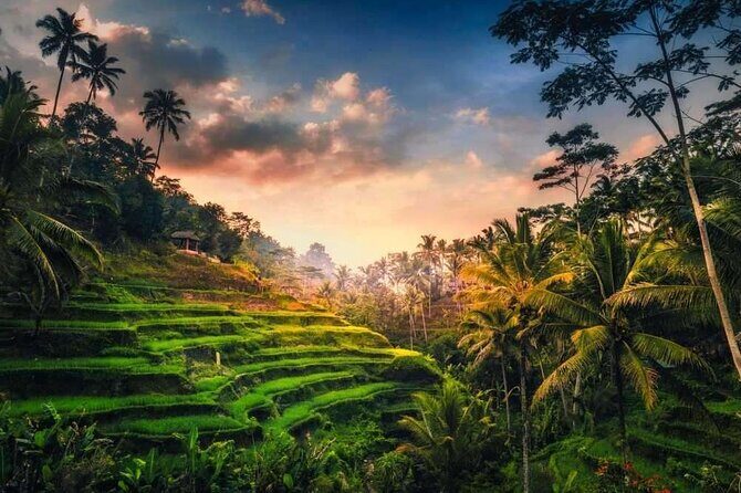 Private Bali Tour with Lisensed Bali Driver - Price and value for $36: what’s included and extra