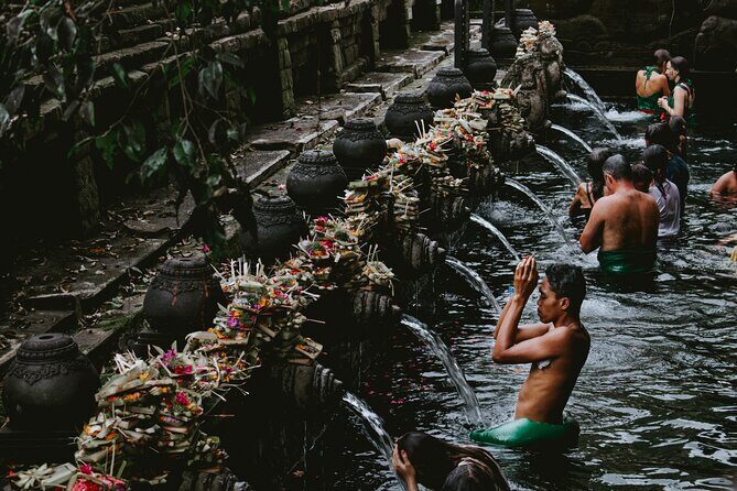 Private Bali Tour with Lisensed Bali Driver - Sacred Monkey Forest Sanctuary: timing, behavior, and safety