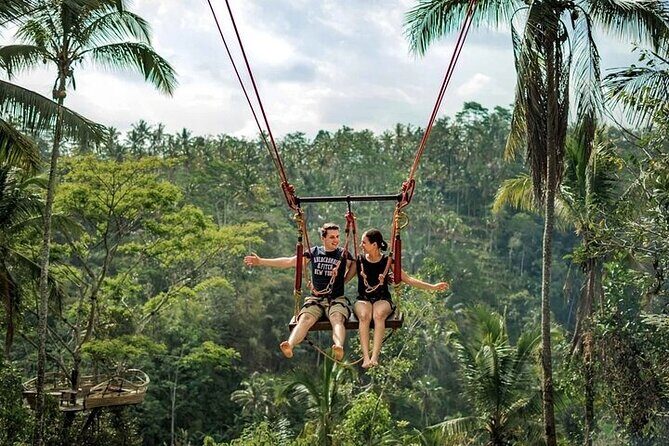 Private Day Tour In Ubud With Jungle Swing All Inclusive - Key things that make this Ubud day tour click