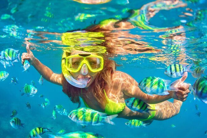 Private Full-Day Lovina Dolphin Watching and Snorkeling Boat Tour - Snorkeling in Lovina: Gear Included and Timing That Makes Sense