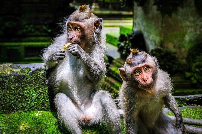 Private Full Day Tour In Ubud Bali - Celuk Village for Silver and Gold: Artisan Work at Street Level
