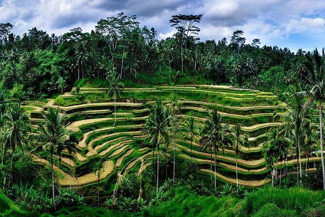 Private Full Day Tour In Ubud Bali - Tirta Empul Temple: Watching a Living Purification Ritual