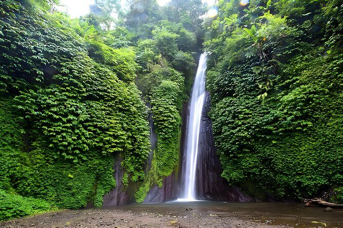 Private Full-Day Tour : North Bali Trip to Discover The Culture of Bali Island - Munduk waterfall: hiking through clove and coffee country