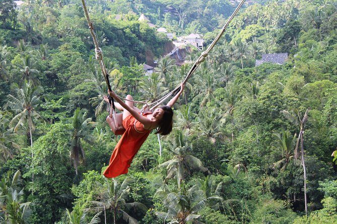 Private Full Day Tour to Ubud Highlights with Giant Swing - Sangeh Monkey Forest: shade, temples, and cheeky residents