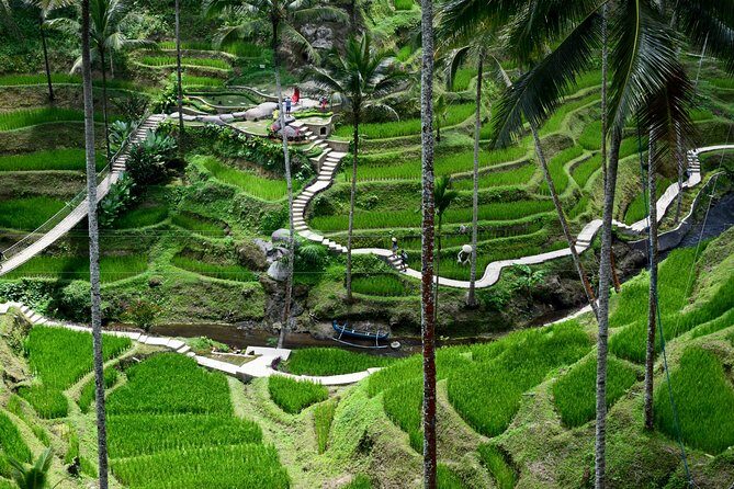 Private Full Day Tour to Ubud Highlights with Giant Swing - The driver/guide factor: safe, organized, and flexible