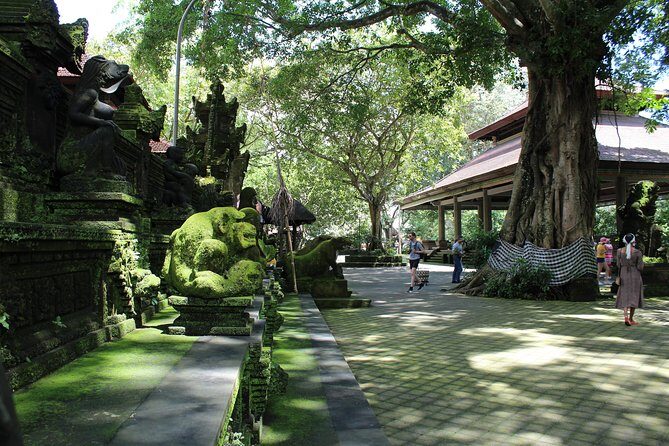 Private Full Day Tour to Ubud Highlights with Giant Swing - Bali Swing at Picheaven: the photo factory (and the safety reality)