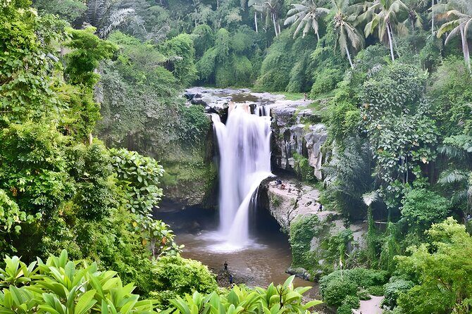 Private Half-Day Tour : Ubud Waterfall Tour Packages - Quick hits before you go