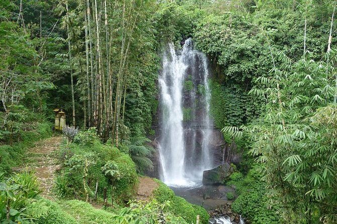 Private Munduk Waterfalls Trekking Tour - The Munduk trek: waterfalls, rice terraces, and a guide who talks