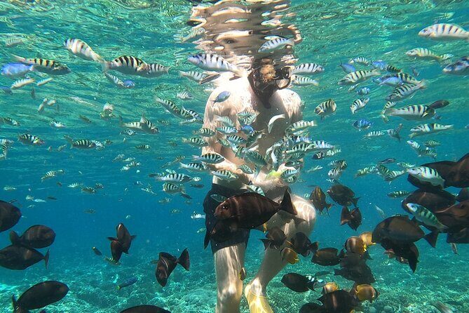 Private Snorkeling from Nusa Penida - Getting There: Sanur Pickup and the Fastboat Return Plan