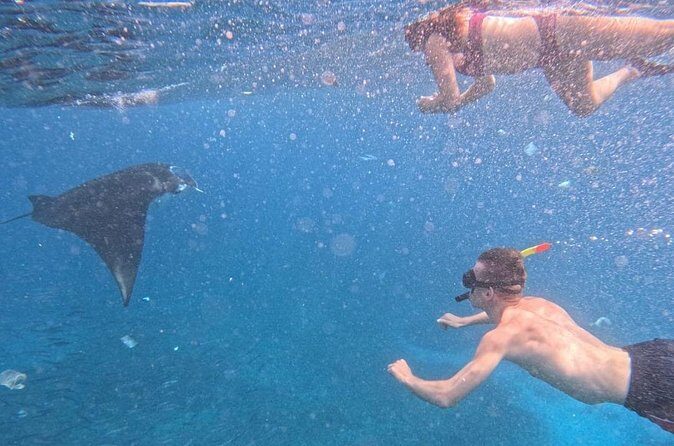 Private Snorkeling from Nusa Penida - Gear, Safety, and the Simple Comfort Stuff