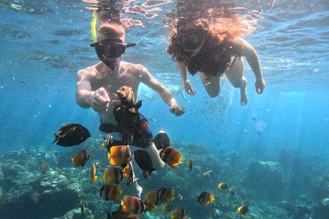 Private Snorkeling from Nusa Penida - Manta Bay: Your Best Shot at Giant Rays