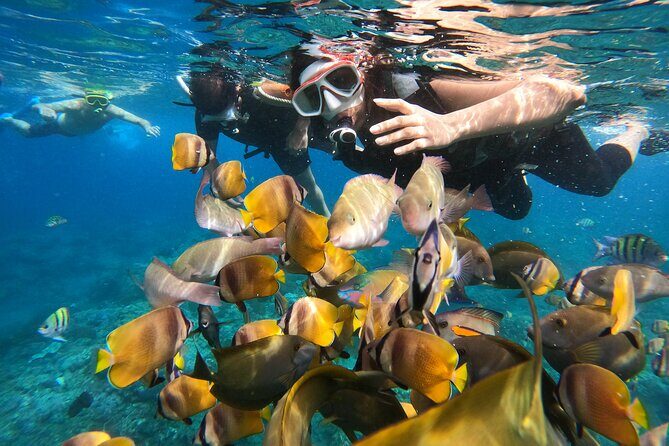 Private Snorkeling in Manta Bay, Gamat Bay & Wall at Nusa Penida - Manta Bay Expectations: The Luck Factor, Weather Swaps, and Safety