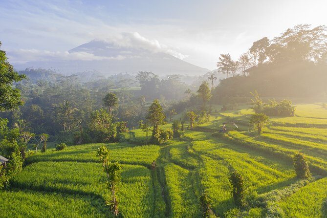 Private Tour: Bali Temple and Countryside Tour - Stop 2: Luhur Batukaru Temple in Cool Forest Surroundings