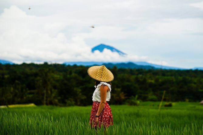 Private Tour: Bali Temple and Countryside Tour - Stop 3: Jatiluwih Rice Terraces and the Subak Irrigation Story