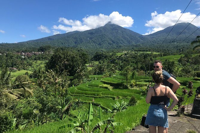 Private Tour: Bali Temple and Countryside Tour - Price and Timing: What You’re Paying For (and What to Watch)